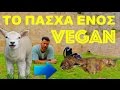BINTEO ΜΕ ΧΙΟΥΜΟΡ! Οι διαφορές των Ελλήνων Κρεατοφάγων με τους Χορτοφάγους το Πάσχα...