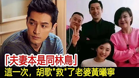 “夫妻本是同林鸟”，这一次，胡歌救了老婆黄曦宁︱李佳︱靳东︱刘涛︱胡歌︱马伊琍︱江珊︱王志文︱宋佳︱王凯︱黄曦宁#新视野传媒 - 天天要闻