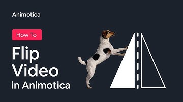 How to Flip Video? (Tutorial)