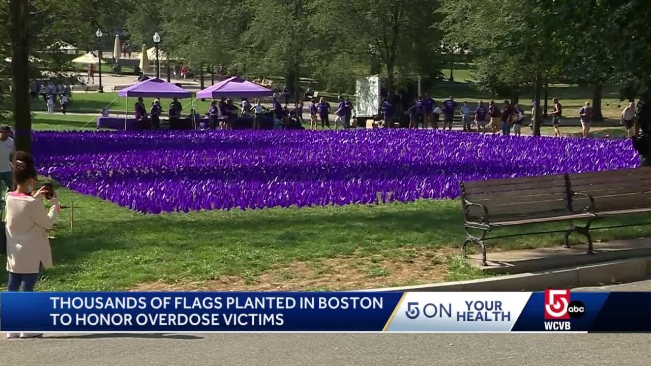 International Overdose Awareness Day Acknowledged Today In MA international-overdose-awareness-day-acknowledged-today-in-ma