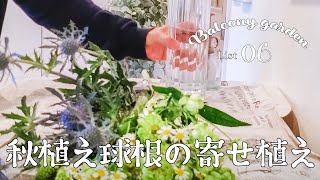 ENG【ガーデニング初心者の庭造り】ベランダガーデン/秋植え球根を寄せ植えに/心が落ち着く花と癒しの音楽/soothing music/beginner of gardening