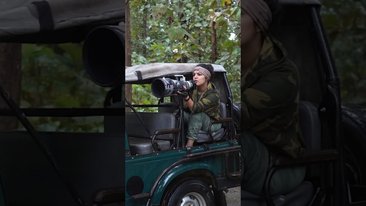 Monsoon, jungle & the greens 