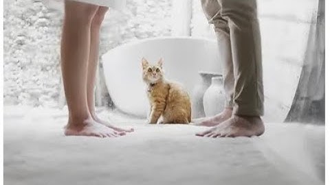 Understanding the Differences: Separate Property vs. Marital/Community Property in Divorce