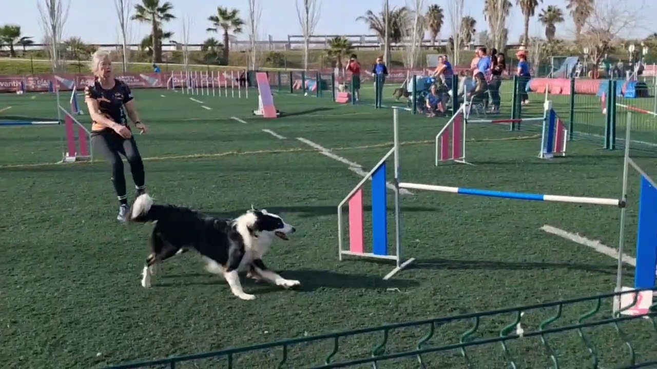 Deejay RSCE Divertidog 22-02-26 Agility