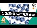 신선설농탕+구기자+블루베리! 건강 간편식  차 쇼핑 꿀조합!