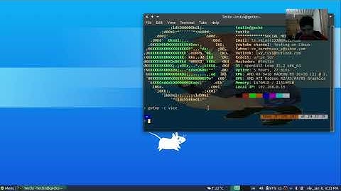 Neofetch configuration & more about themes