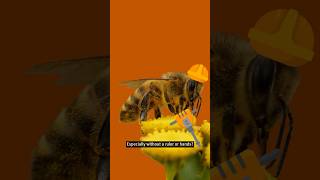 How do bees make such perfect hexagons? #science #bees #shorts #honeycomb #maths #sciencefacts