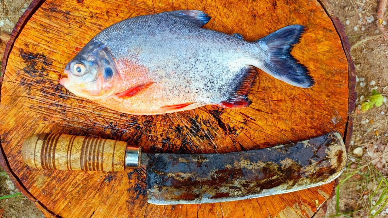 Red Snapper Fish at Rs 400/kilogram(s), Fresh Fish in Mumbai