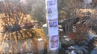 Kyron Horman fliers all over Carson City, and little in Carson Valley/Douglas County, NV