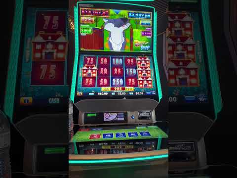 81% Hit Rate! Win Big or Break Even Roulette Strategy #casino #slot #gambling #roulette