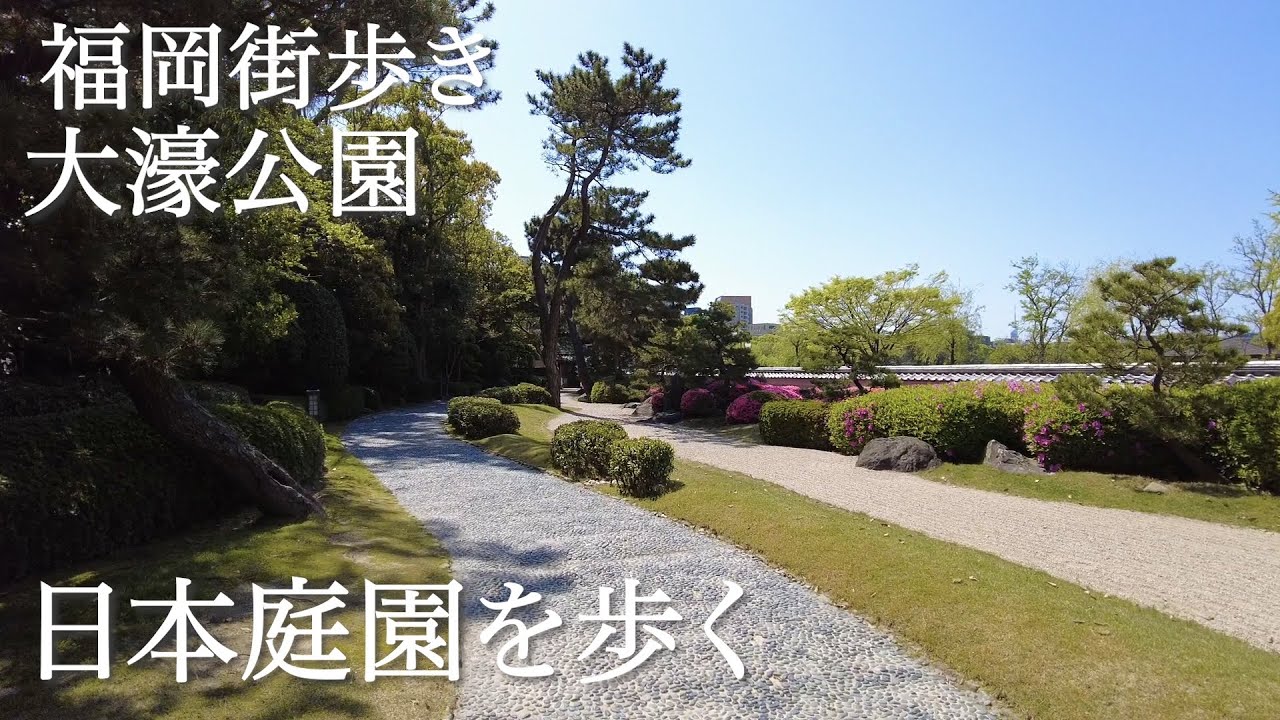 大濠公園日本庭園内を歩くJapanese Garden in  Ohori Park Fukuoka