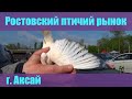 Птичий рынок Ростова-на-Дону (Аксай). Часть 2. [15.05.2022]