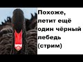 Похоже, летит ещё один чёрный лебедь (стрим)