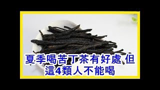 夏季喝苦丁茶有好處 但這4類人不能喝