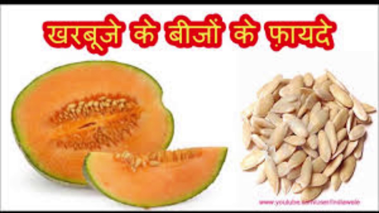 Melon Seeds Benefits YouTube