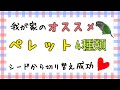 【おすすめ】シードから切り替え成功した、我が家のオススメペレット4種類♪ オカメインコ セキセイインコ ウロコインコ parakeet pellet