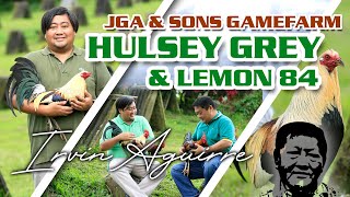 FARM VISIT: DUKE HULSEY GREY - JGA & SONS