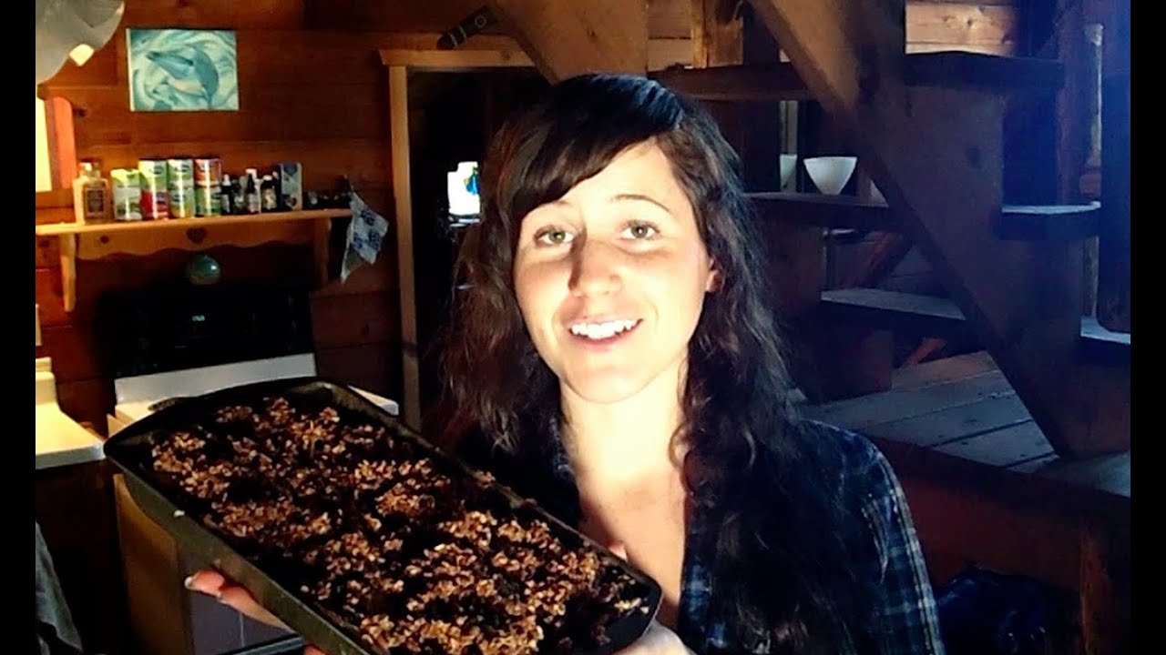 Iron In A Raw Vegan Diet