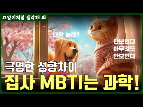 <strong>고양이</strong> <strong>키우기</strong> 적합한 MBTI가 있다고? feat. 집사 라이프스타일 분석