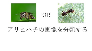 【１分図解】転移学習の仕組み
