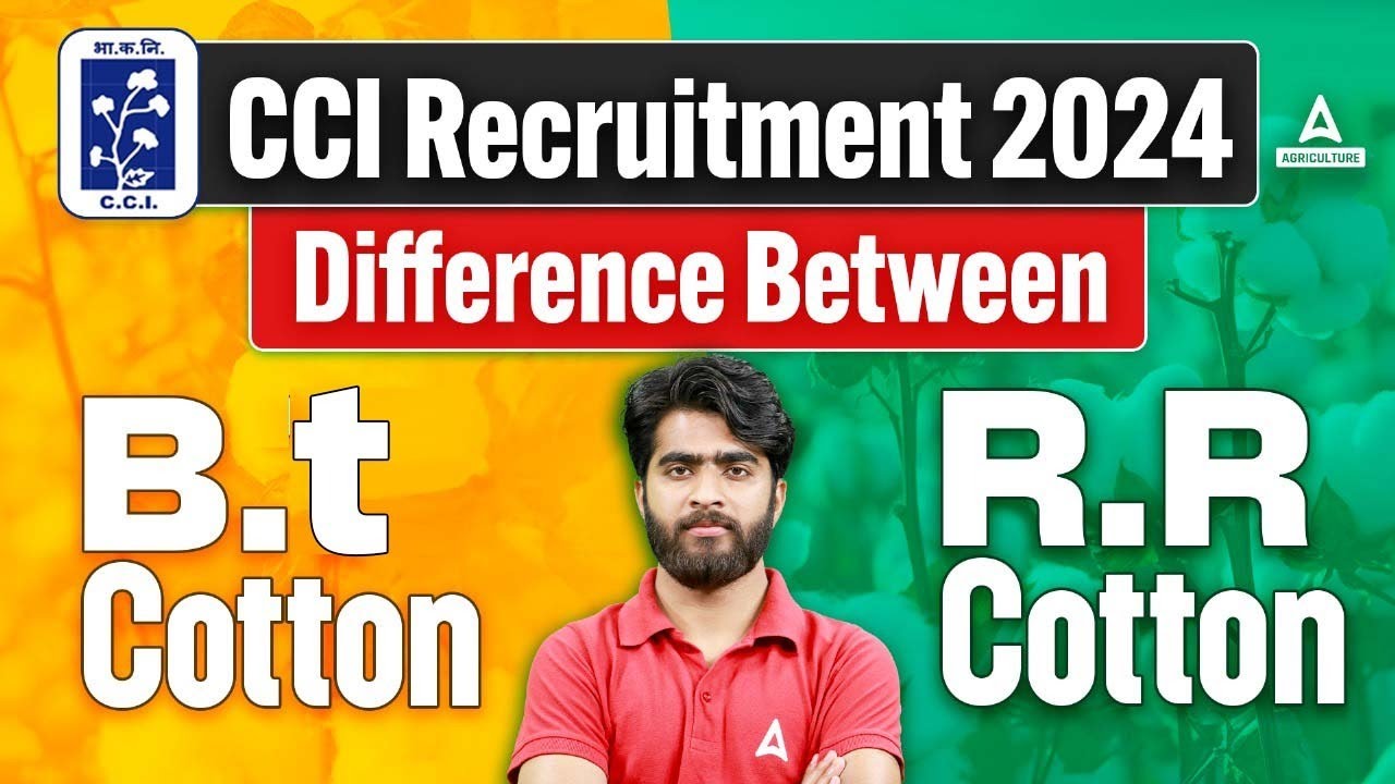 Difference Between B.t. Cotton And R.R Cotton | Cotton Corporation of ...