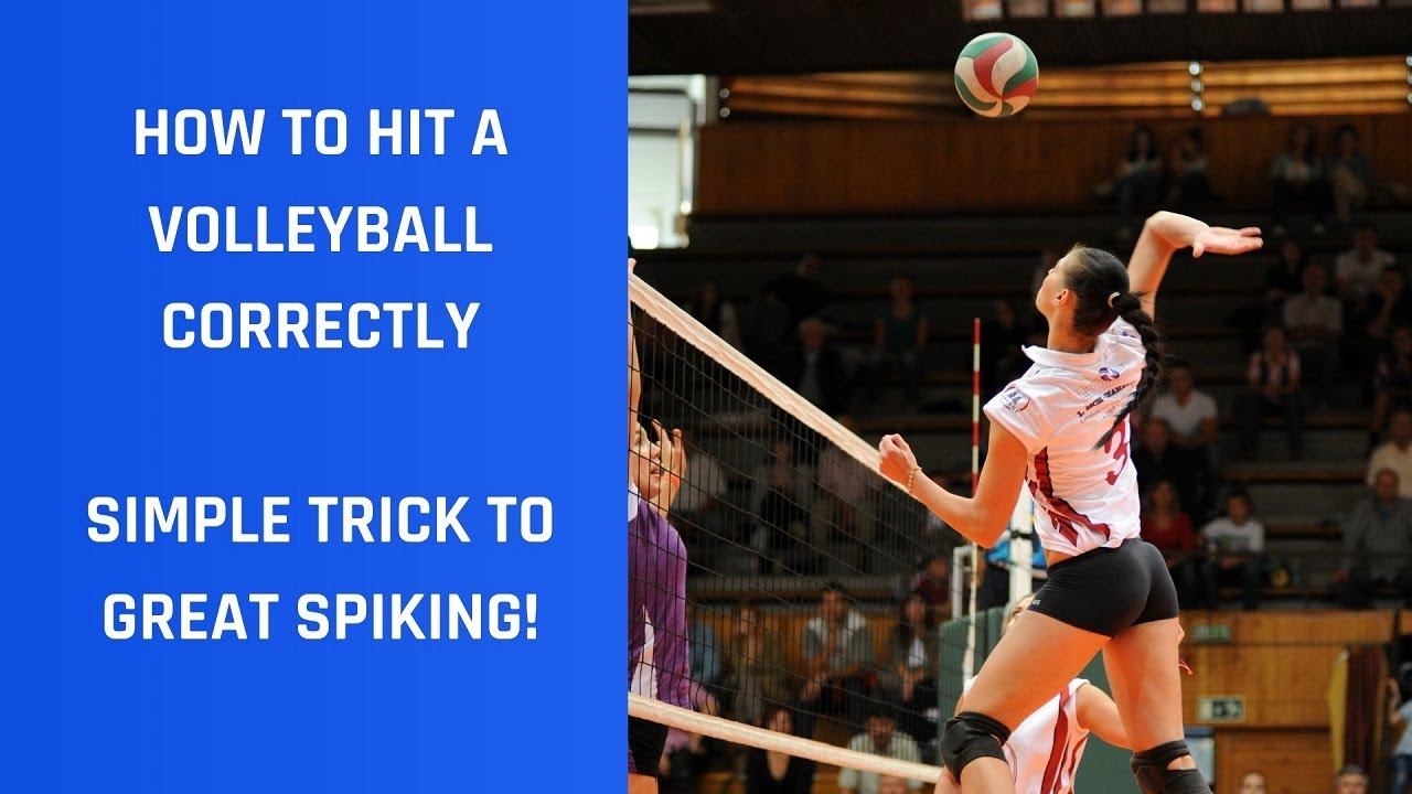 Volleyball websites i should know about - upfavid