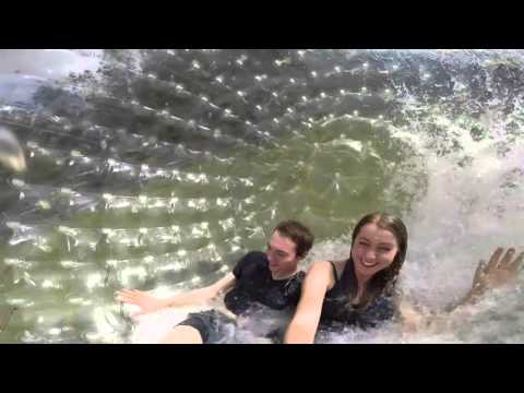 Zorbing in Rotorua