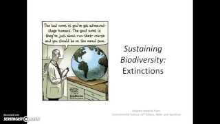 Sustaining Biodiversity - Extinctions
