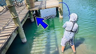 It Used To Be ILLEGAL To Fish This MARINA DOCK!!! (INSANE)