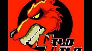 Wild Wild Racing Race 2 Music