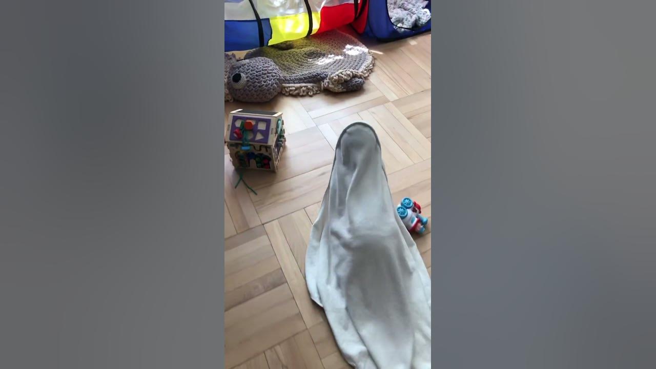😳НЕОПОЗНАННЫЙ ОБЪЕКТ😂мантия невидимка 👻 #двойня #декрет #двойняшки # ...