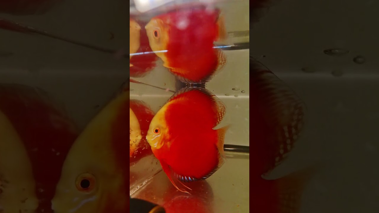 РАСПЛЫВ И ПОСАДКА МАЛЬКА! 😆 👍 💎 🇷🇺 🏆