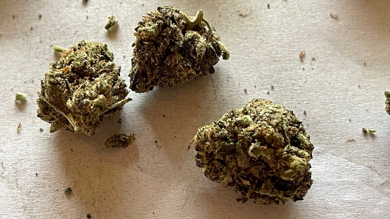 GAS BASKET ⛽️(Exotic 70 Indica 🏀Gary Payton X Bakers Dozen👨🏻