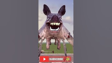 NEW ZOOCHOSIS MUTANTS SIZE COMPARISON in Garry