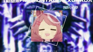 mambocore Montagem Xonada