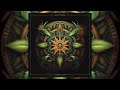 Mystic chants  jaz  piti lion  1 hour ambient  shamanic drumming  organic downtempo meditation