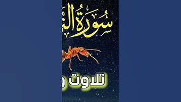 #الرقية_الشرعية #bilala #drbali #القرآن_الكريم #تلاوة #النمل