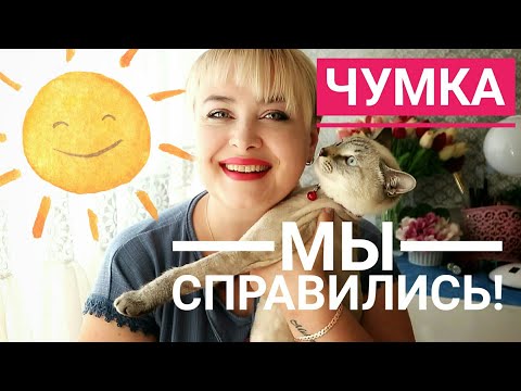 Кот не ест и не пьет...   Но мы СПРАВИЛИСЬ! История выздоровления кота от вируса чумки