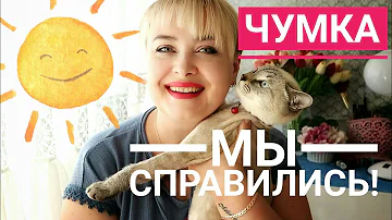 Кот не ест и не пьет...   Но мы СПРАВИЛИСЬ! История выздоровления кота от вируса чумки