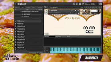 Baklava Sounds: Orient Express 2023 Kontakt Arabic Balkan Oriental Turkish  Library Kamanjat Yayli