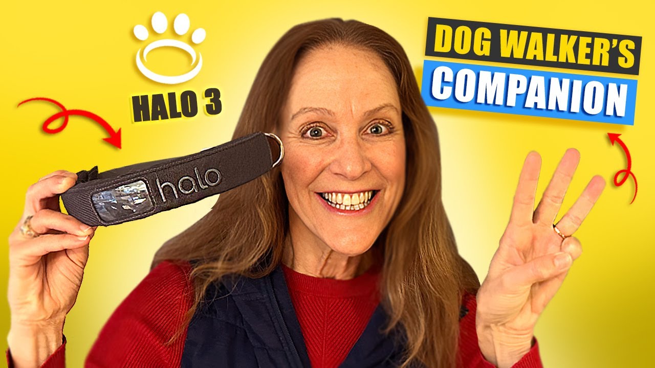 HALO COLLAR 3 REVIEWS: A MUST-HAVE SAFETY DEVICE FOR WALKING AND FOSTERING DOGS
