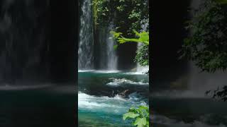 Download Lagu 𝑹𝒆𝒍𝒂𝒙𝒊𝒏𝒈 𝑴𝒖𝒔𝒊𝒄!𝑴𝒆𝒅𝒊𝒕𝒂𝒕𝒊𝒐𝒏 𝑴𝒖𝒔𝒊𝒄! 𝑺𝒍𝒆𝒆𝒑 𝑴𝒖𝒔𝒊𝒄! 𝑯𝒆𝒂𝒍𝒊𝒏𝒈 𝑴𝒖𝒔𝒊𝒄! 𝑾𝒂𝒕𝒆𝒓𝒇𝒂𝒍𝒍 𝑺𝒐𝒖𝒏𝒅𝒔 #𝒓𝒆𝒍𝒂𝒙𝒊𝒏𝒈𝒎𝒖𝒔𝒊𝒄#2023 MP3