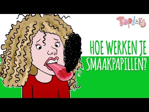 Video: Waarom geen smaakpapillen?