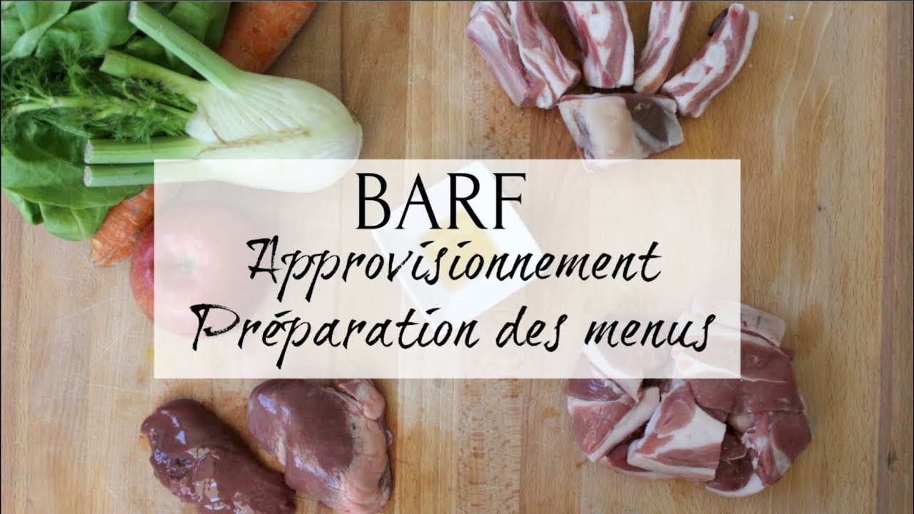 MON ORGANISATION BARF | Conservation, préparation...