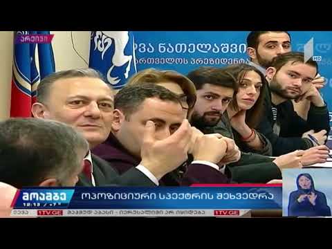 ოპოზიციური სპექტრის შეხვედრა