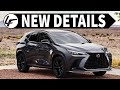 *UPDATE* 2022 Lexus NX | Packaging, Options, and COLORS