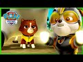 Les mighty pups contre la super kitty catastrophe crew  paw patrol dessins anims pour enfants