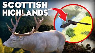 I'm Scottish... Did Planet Zoo 2 Get It Right? (Can I Guess the New Animals?)