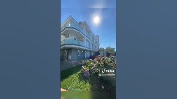 ألابذكر الله تطمئن القلوب . تلاوة خاشعه إسلام صبحي #قصص #اكسبلور #المصحف #لايك #الق #ترند #تيك_توك