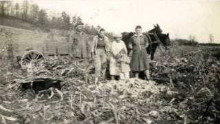 Farming In Illinois